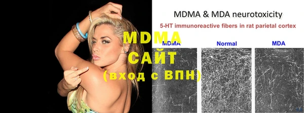 индика Лабытнанги