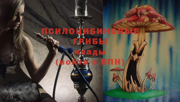 экстази Кулебаки