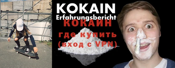 шишки Кукмор