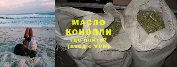 индика Лабытнанги