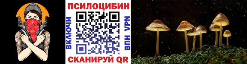 даркнет сайт  Михайловск  Галлюциногенные грибы Magic Shrooms 