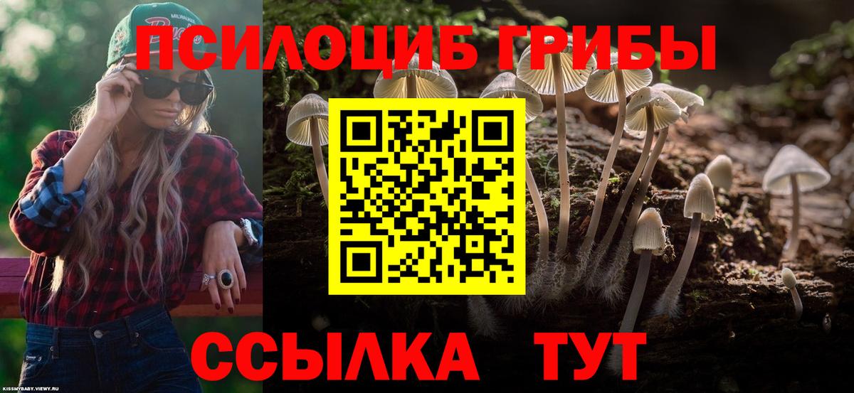 Псилоцибиновые грибы Magic Shrooms Михайловск