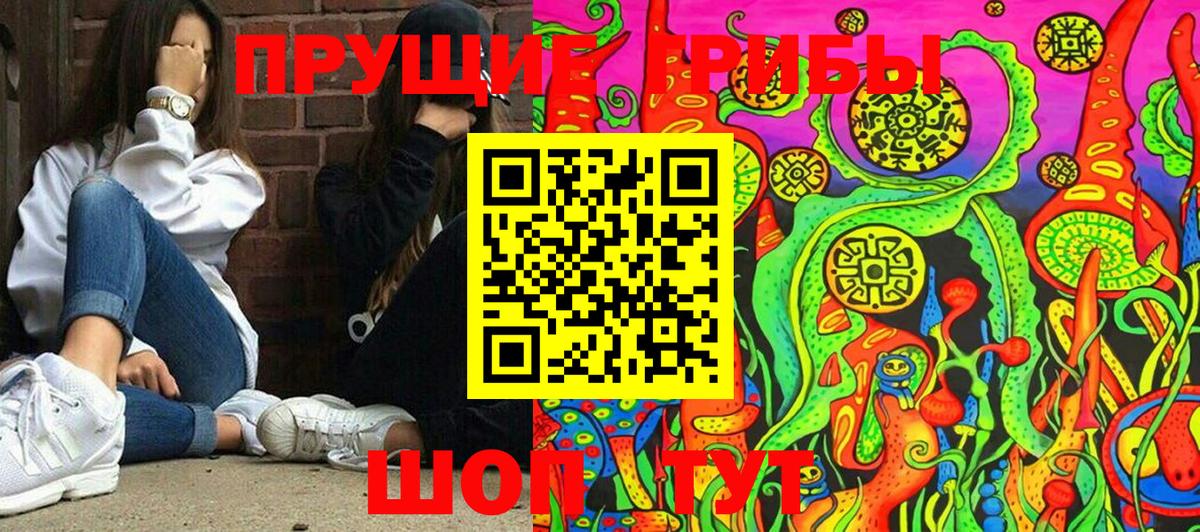 Михайловск  Галлюциногенные грибы Psilocybe  Вход с VPN 