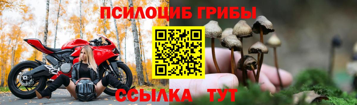 Псилоцибиновые грибы Magic Shrooms Михайловск