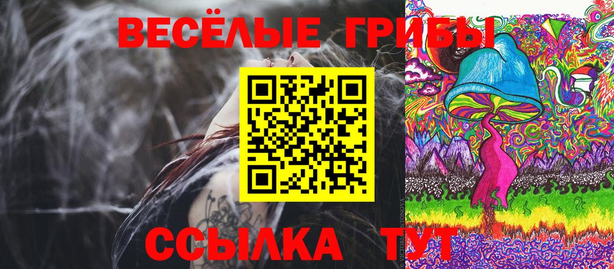 Псилоцибиновые грибы Psilocybine cubensis  Вход с VPN  Михайловск 