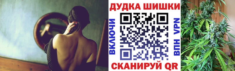 Бошки марихуана конопля  Михайловск 